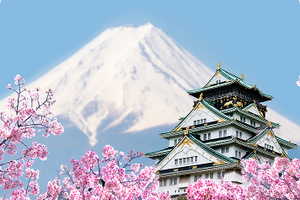 Japan eSIMs
